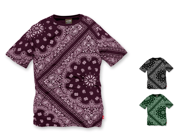 PAISLEY TEE